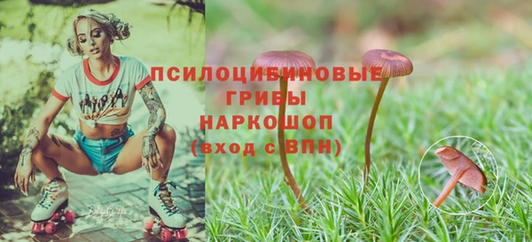 мяу мяу кристалл Армянск